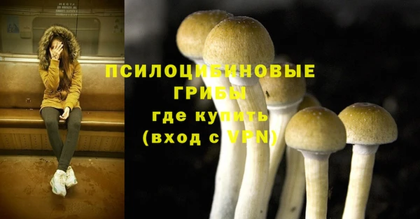 трава Нефтекумск