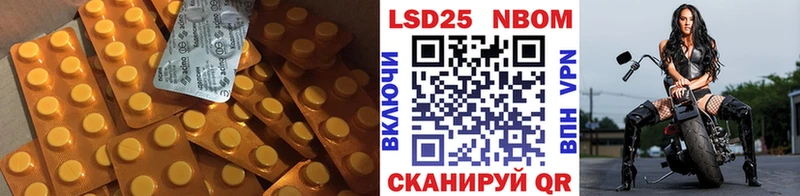 дарнет шоп Обнинск LSD-25 экстази ecstasy