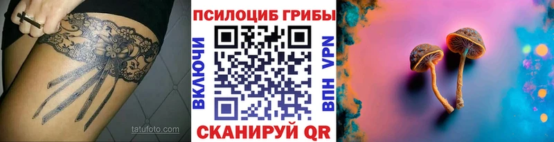 где продают Обнинск Галлюциногенные грибы Magic Shrooms